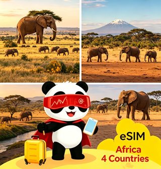 Four African Countries（Algeria, Madagascar, South Africa, Tunis)